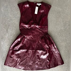 Francesca's Collections Deep Red Faux Leather Mini Dress